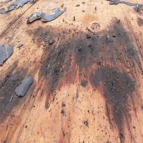 exterior-dry-rot-repair exterior-dry-rot-repair