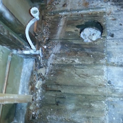 Dry Rot Repair & Remediation